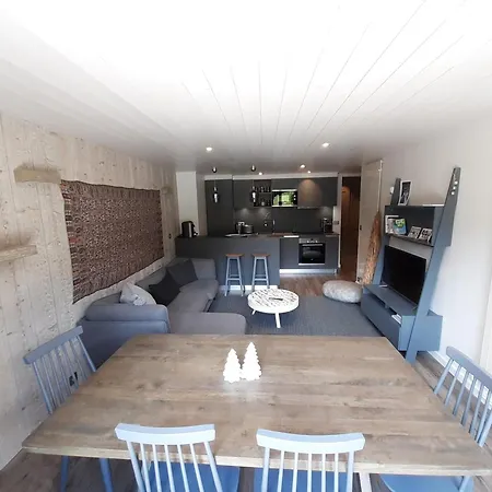 公寓 Renove 3 Skis Aux Pieds A Avec Wifi - Fr-1-514-61