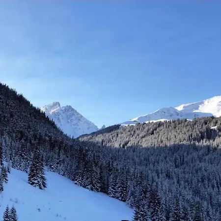 Renove 3 Skis Aux Pieds A Avec Wifi - Fr-1-514-61 公寓 谷雪维尔