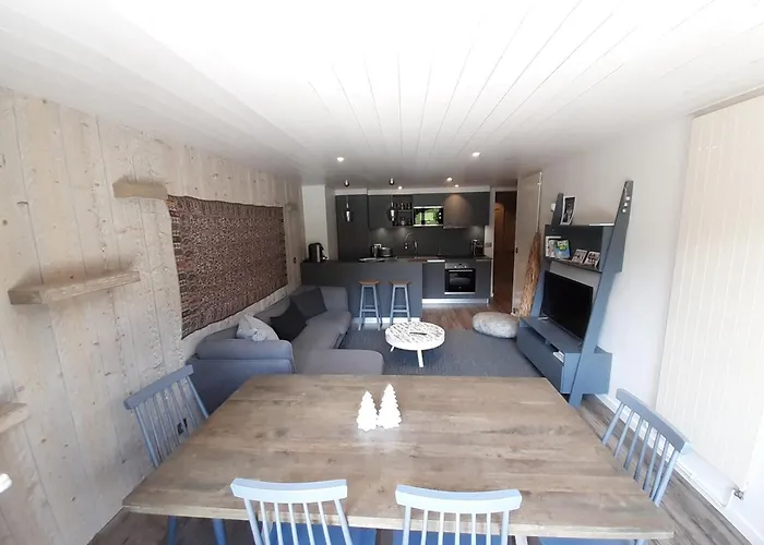 公寓 Renove 3 Skis Aux Pieds A Avec Wifi - Fr-1-514-61