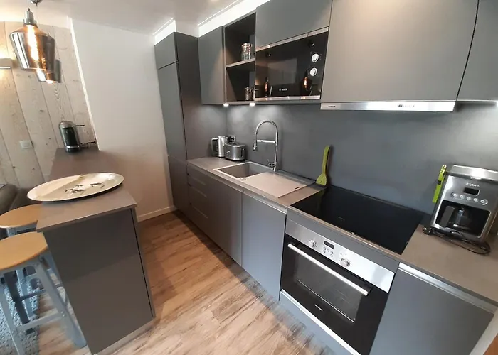 公寓 Renove 3 Skis Aux Pieds A Avec Wifi - Fr-1-514-61 *